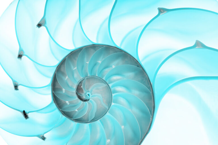 Spirale Nautilus